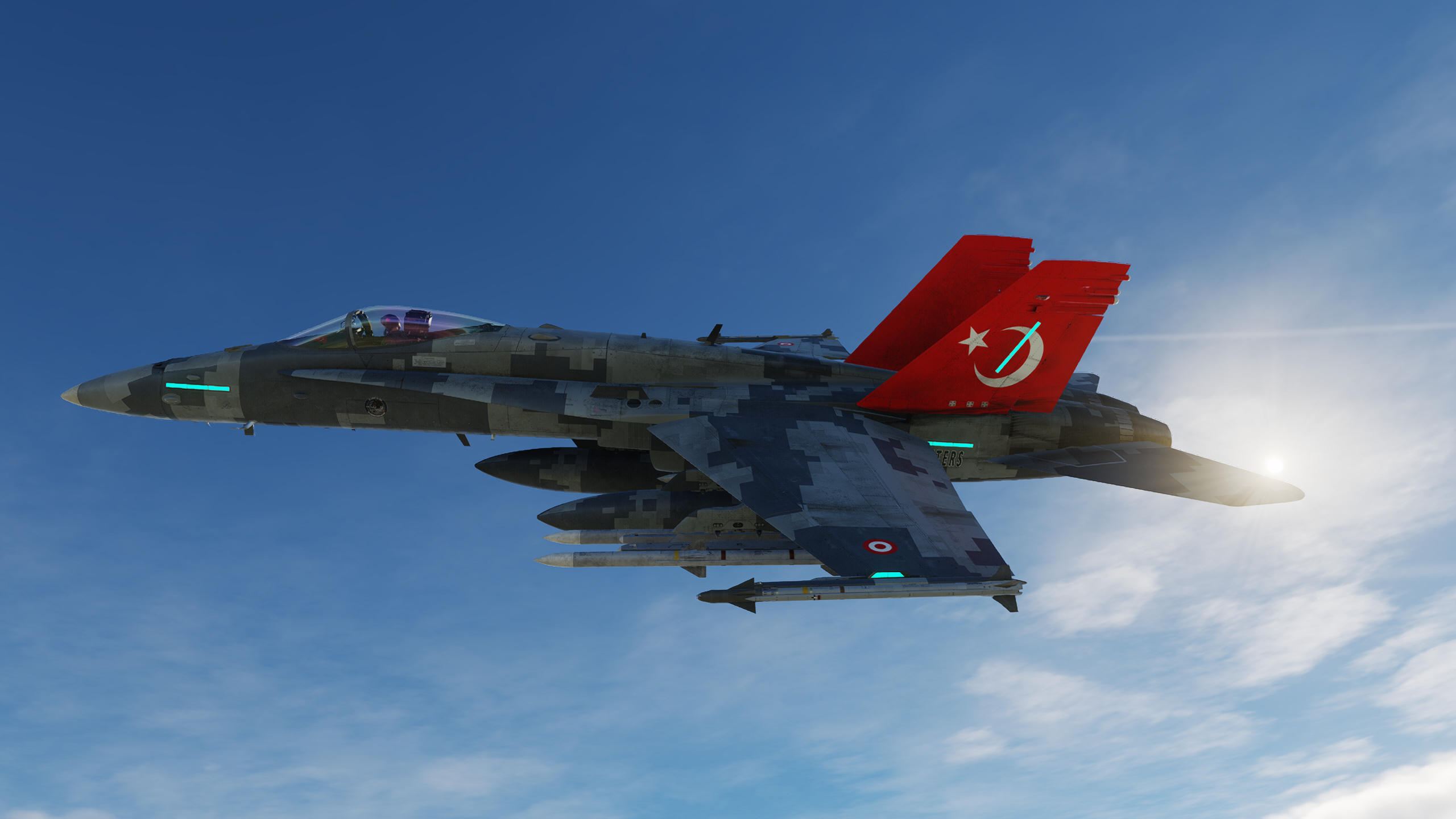 F/A-18 HUNTERS Camo - In Flight