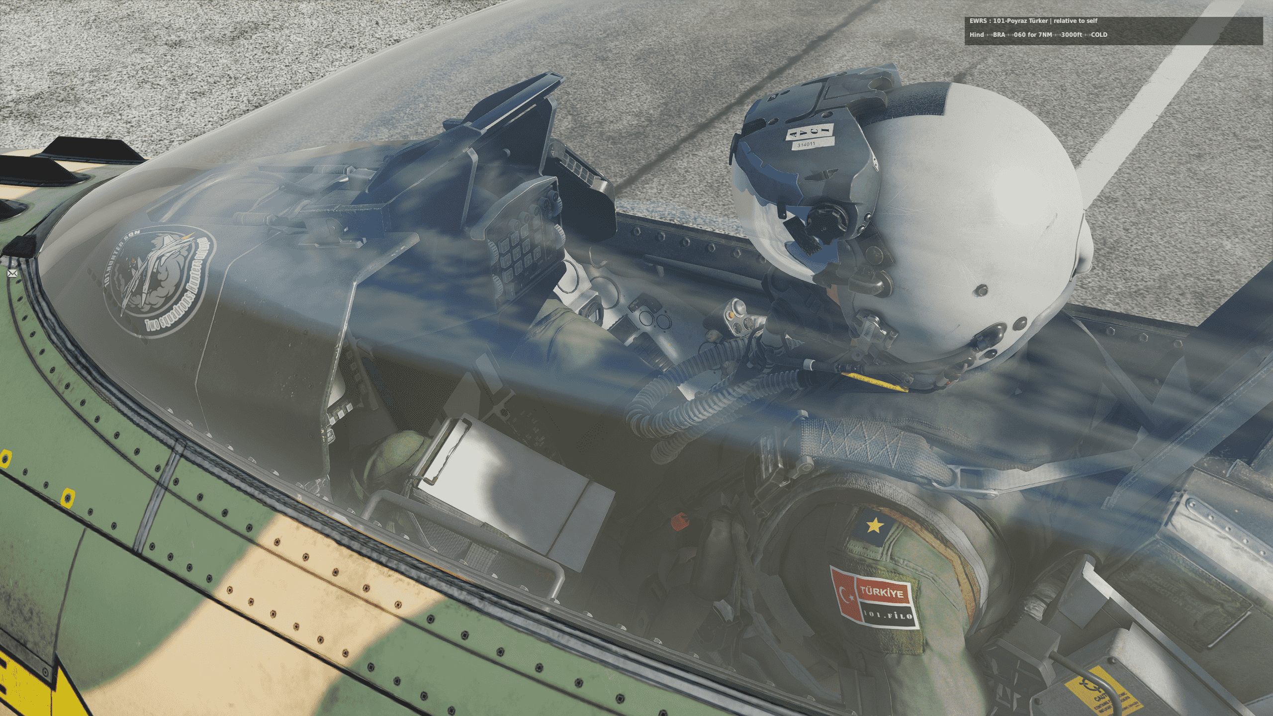 DCS Action Screenshot